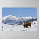 Suche nach winterlicher poster Landschaft