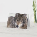 Suche nach anstarren Fotografie