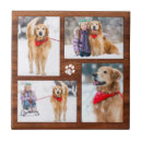 Suche nach foto fliesen Katze