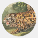 Suche nach jaguar aufkleber Säugetier
