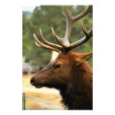 Suche nach wildleder poster Tiere