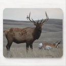 Suche nach antilope mousepads Gabelbock