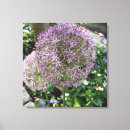 Suche nach hübsche blumen leinwandbilder Blumenfotografie