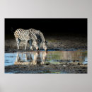 Suche nach botswana poster Afrika