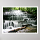 Suche nach orgel poster Park