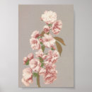 Suche nach seerosen poster Botanisch