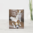 Suche nach papillon hund karten Welpen