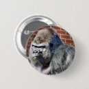 Suche nach lustiger gorilla buttons Gorillas