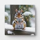 Suche nach schnee fotoplatten Niedlich