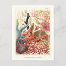 Suche nach great barrier reef postkarten Vintag