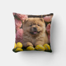 Suche nach chow kissen Liebe