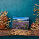 Suche nach flowerbed Meadow
