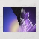 Suche nach sternenhimmel postkarten Meer