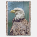 Suche nach weißkopfseeadler decken Vogel