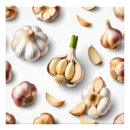 Suche nach knoblauch poster Feinschmecker