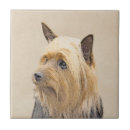 Suche nach seidiger terrier Australisch