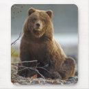 Suche nach braunbär mousepads Wild lebende tiere