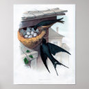 Suche nach ätzung poster Vogel