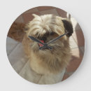 Suche nach shih tzu wanduhren Tiere