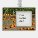 Suche nach mais ornamente Kürbis