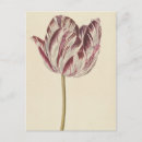 Suche nach vintage tulpen postkarten Elegant