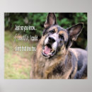 Suche nach funny dog poster Haustier