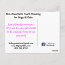 Suche nach zahn postkarten Katzen