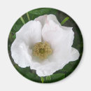 Suche nach trauzeugin magnete Rose
