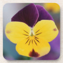 Suche nach großes format untersetzer Blume