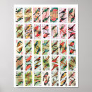 Suche nach vintage wildlife poster Tiere