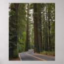 Suche nach wald poster Tag