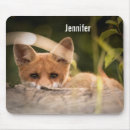 Suche nach orange foto mousepads Natur