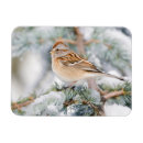 Suche nach zeder karten Vogelvogel