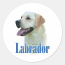 Suche nach schwarzer labrador aufkleber Urlaub