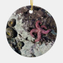 Suche nach gezeiten ornamente Ozean