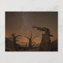 Suche nach sternschnuppe postkarten Himmel