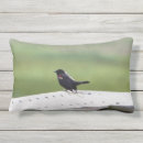 Suche nach amsel Rotgeflügelte amsel