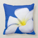 Suche nach plumeria kissen Frangipani