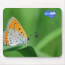 Suche nach gelber schmetterling mousepads Grün