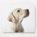 Suche nach zunge mousepads Natur
