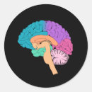Suche nach brain aufkleber Wissenschaft
