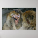 Suche nach zahnfee poster Zahnarzt