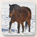 Suche nach rotes pferd untersetzer Pferde