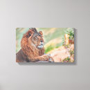 Suche nach wilder löwe leinwandbilder Katze