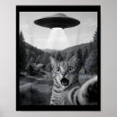 Suche nach katzen alien poster Ufo