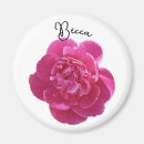 Suche nach blumen magnete Rosa blume