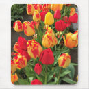 Suche nach rotes tulpe mousepads Gelb
