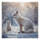 Suche nach arctic fox poster Fuchs