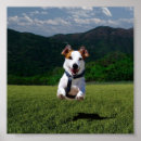 Suche nach hunde für sie poster Niedlicher hund