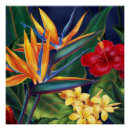 Suche nach hawaiisch poster Plumeria